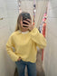 Eyelet Pullover Sweater Top - Butter