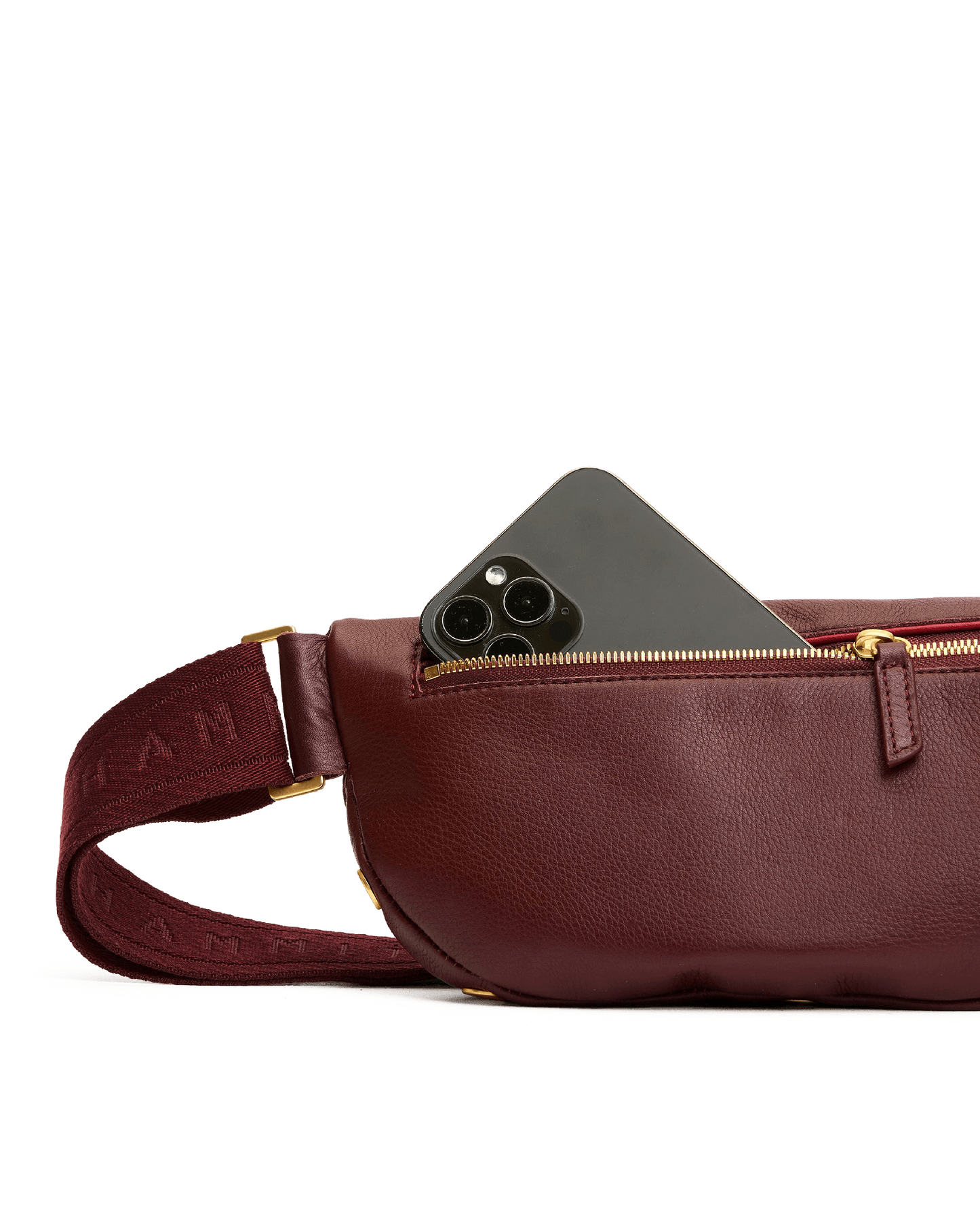 Hammitt Charles Crossbody Med Cherrywood Pebble/Brushed Gold