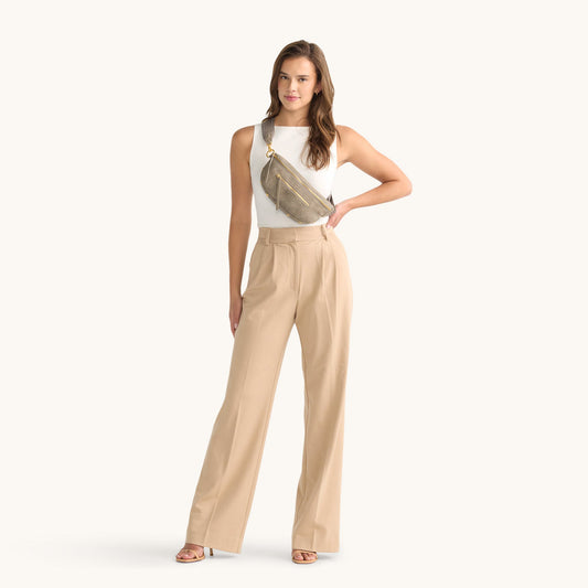 Hammitt Charles Crossbody Pewter/Brushed Gold