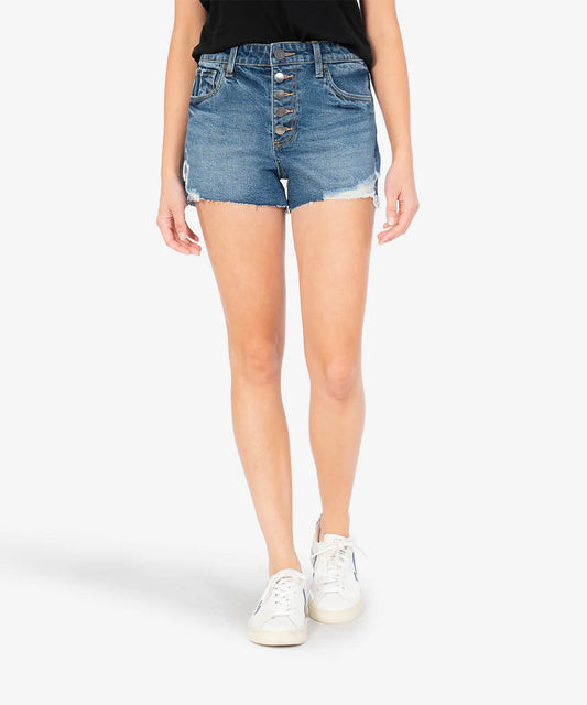 Jane High Rise Denim Shorts