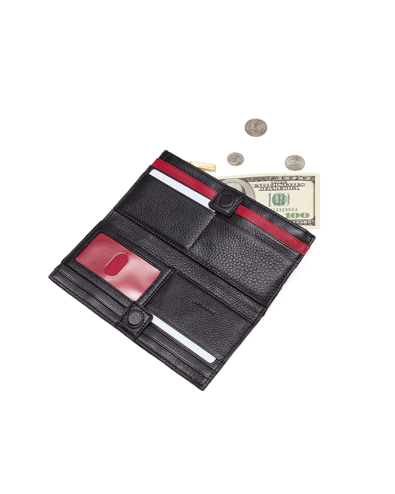 Hammitt 110 North Black/Brushed Gold Red Zip