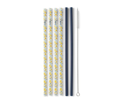 Lazy Daisy & Navy Reusable Straw Set