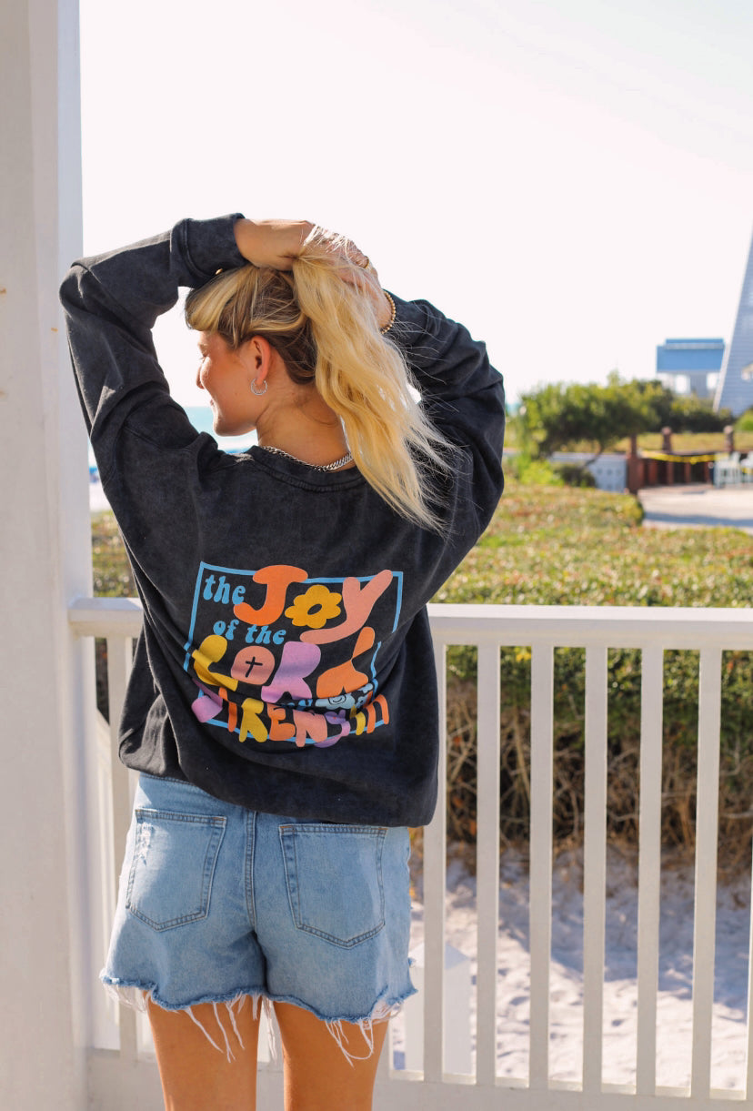 Joy Mineral Wash Sweatshirt